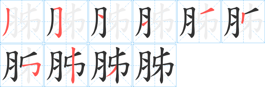 胏字笔画写法